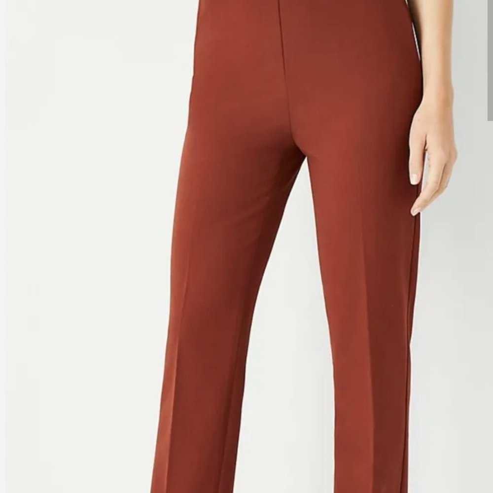 ANN TAYLOR  The Ankle Bi Stretch Pant  sz Small